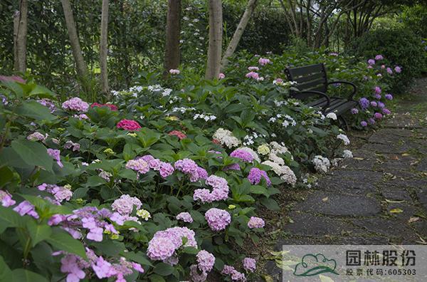 彩运网(中国游)官方网站