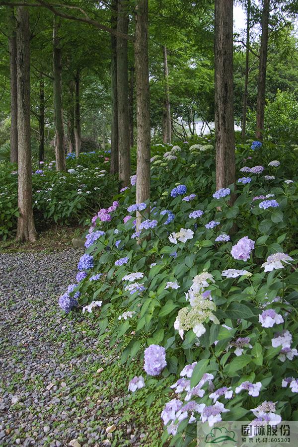 彩运网(中国游)官方网站