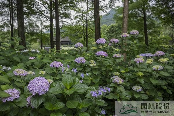彩运网(中国游)官方网站