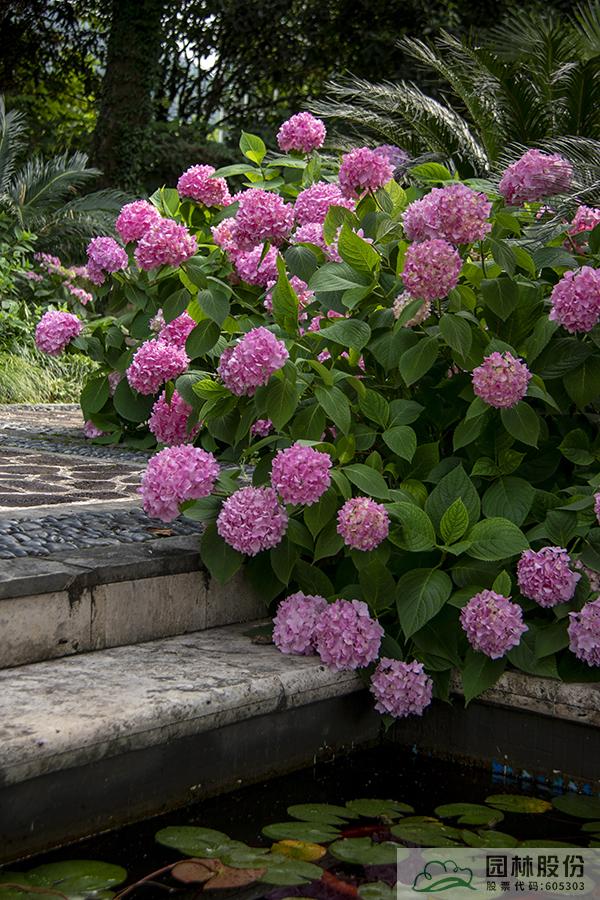 彩运网(中国游)官方网站