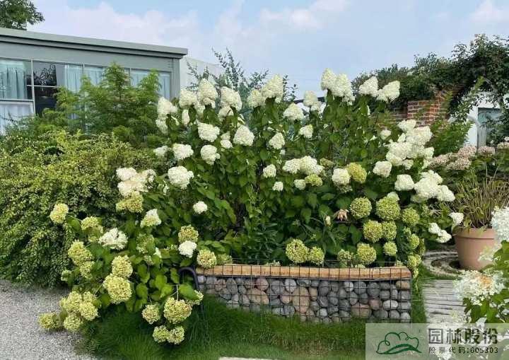 彩运网(中国游)官方网站