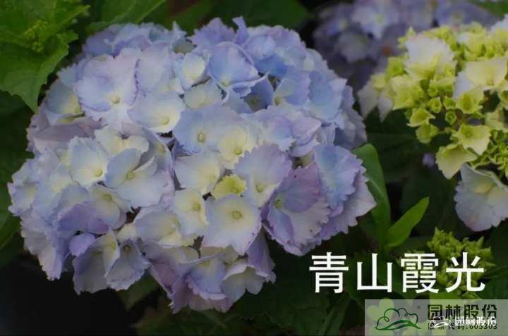 彩运网(中国游)官方网站