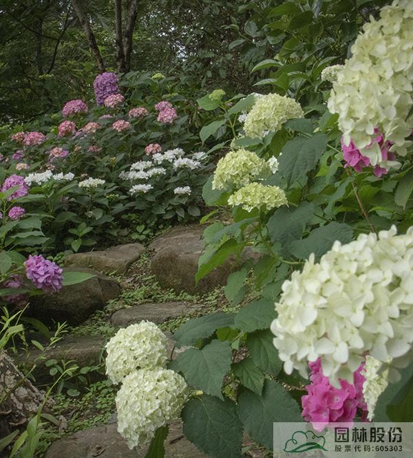 彩运网(中国游)官方网站