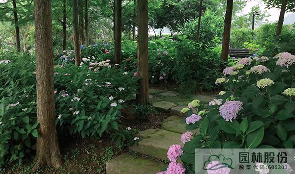 彩运网(中国游)官方网站