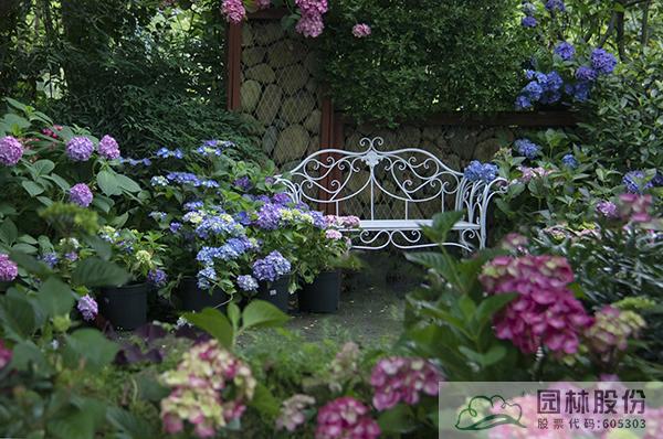 彩运网(中国游)官方网站