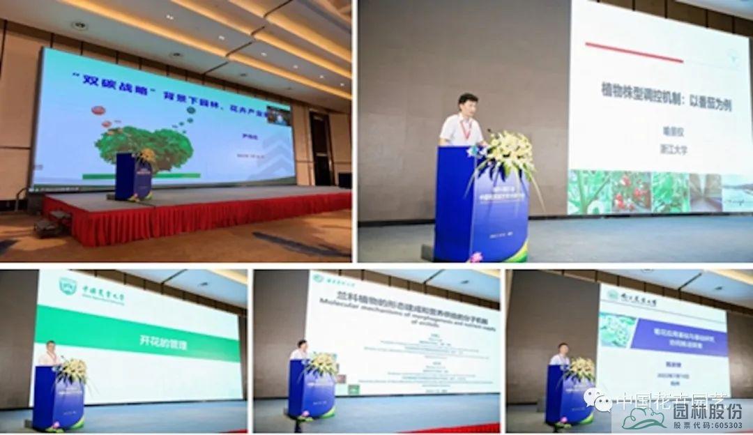 彩运网(中国游)官方网站