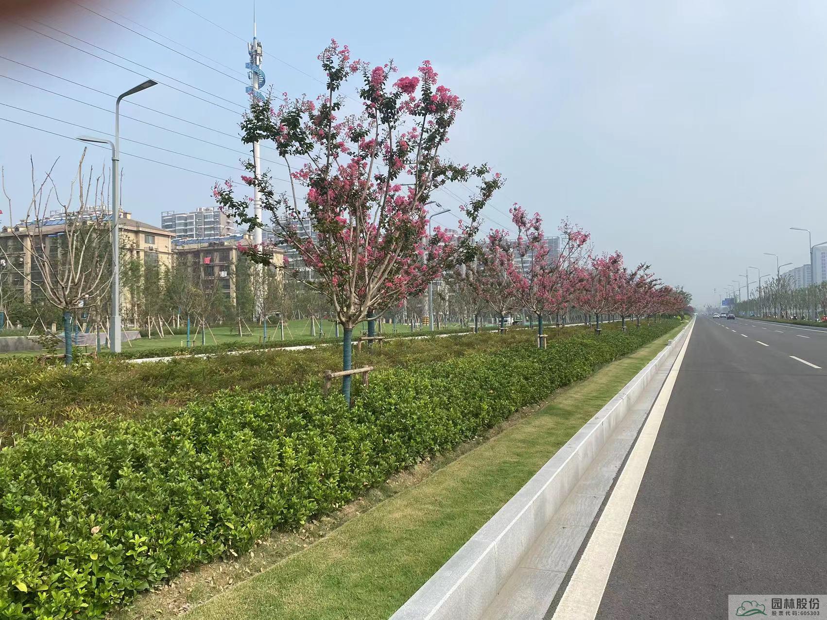 彩运网(中国游)官方网站