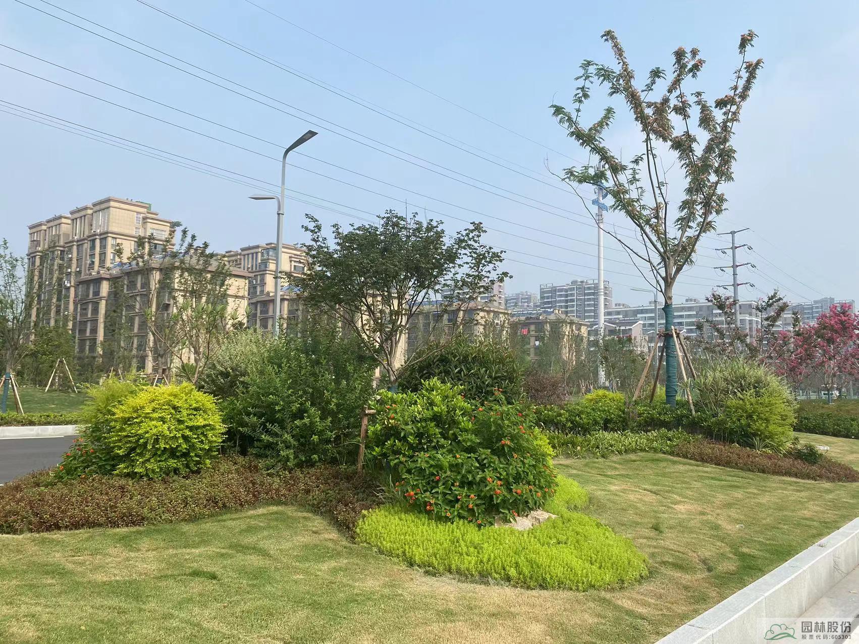 彩运网(中国游)官方网站