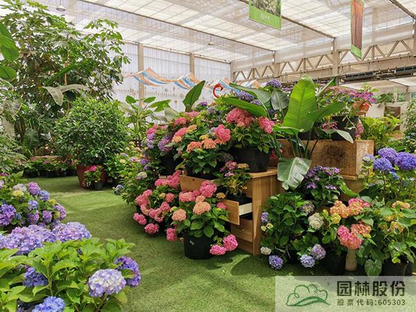 彩运网(中国游)官方网站