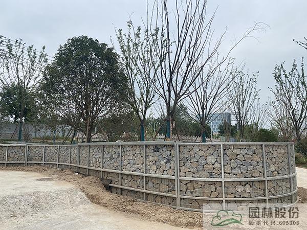 彩运网(中国游)官方网站