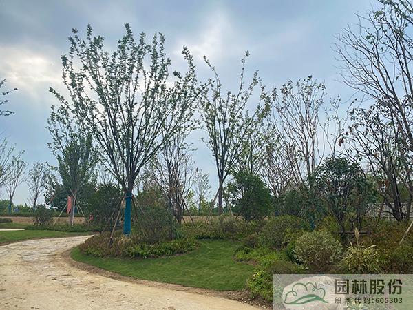 彩运网(中国游)官方网站