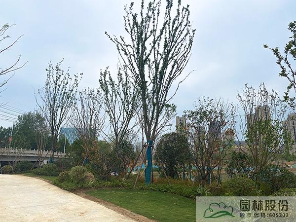 彩运网(中国游)官方网站