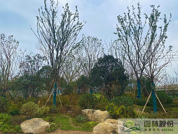 彩运网(中国游)官方网站