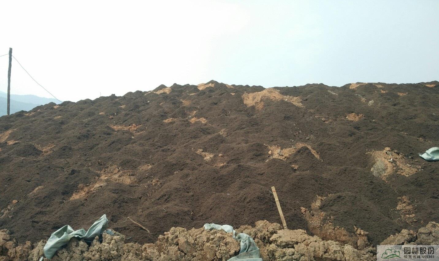 彩运网(中国游)官方网站