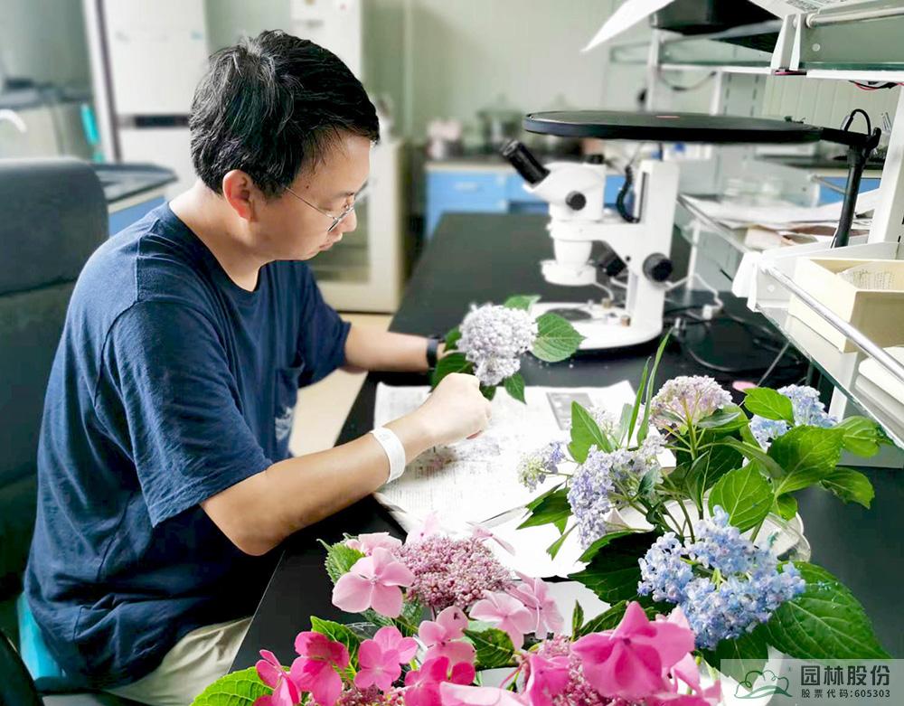 彩运网(中国游)官方网站