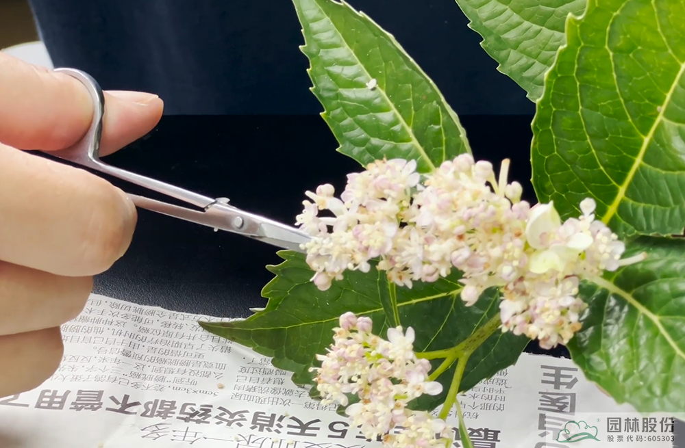 彩运网(中国游)官方网站