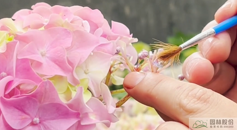 彩运网(中国游)官方网站