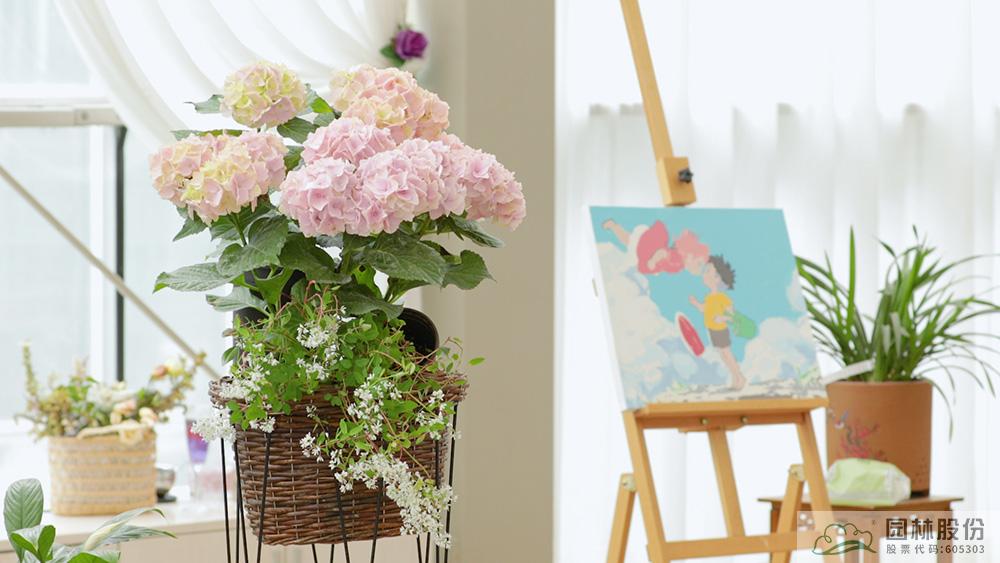 彩运网(中国游)官方网站