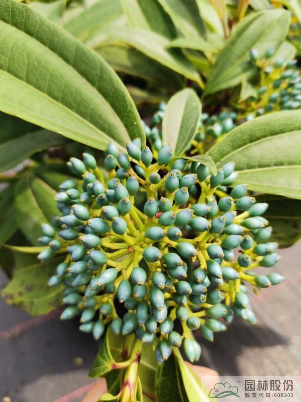 彩运网(中国游)官方网站