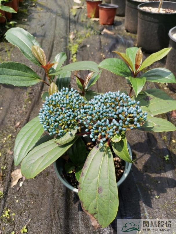 彩运网(中国游)官方网站