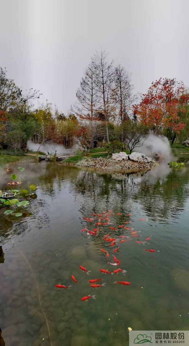 彩运网(中国游)官方网站