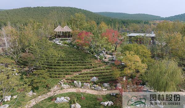 彩运网(中国游)官方网站