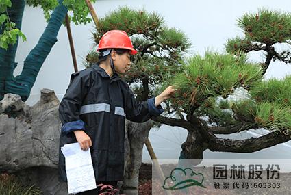 彩运网(中国游)官方网站