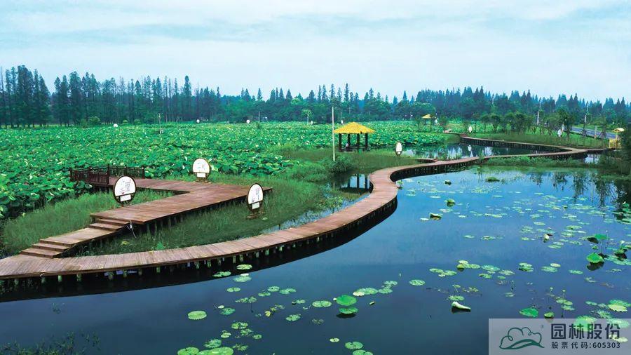 彩运网(中国游)官方网站