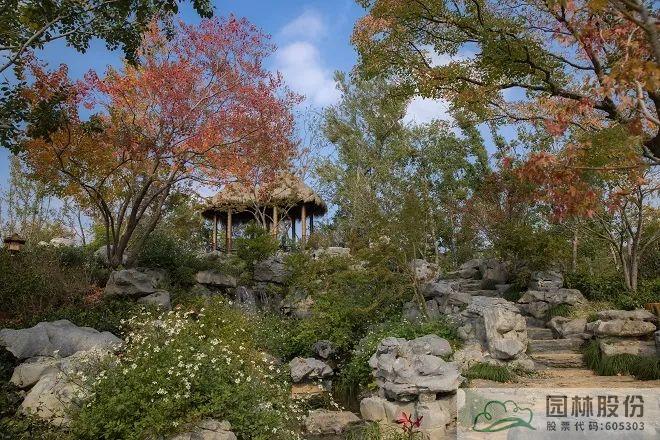 彩运网(中国游)官方网站