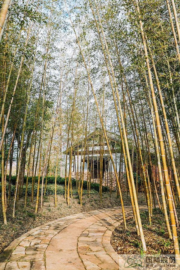 彩运网(中国游)官方网站