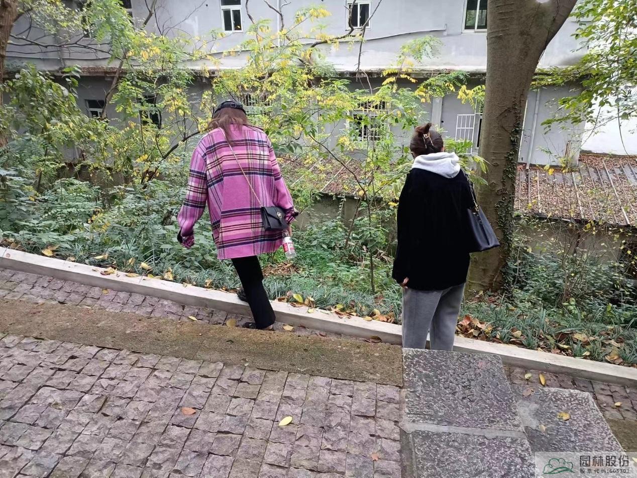 彩运网(中国游)官方网站