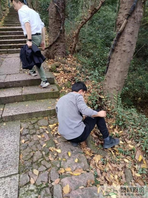 彩运网(中国游)官方网站