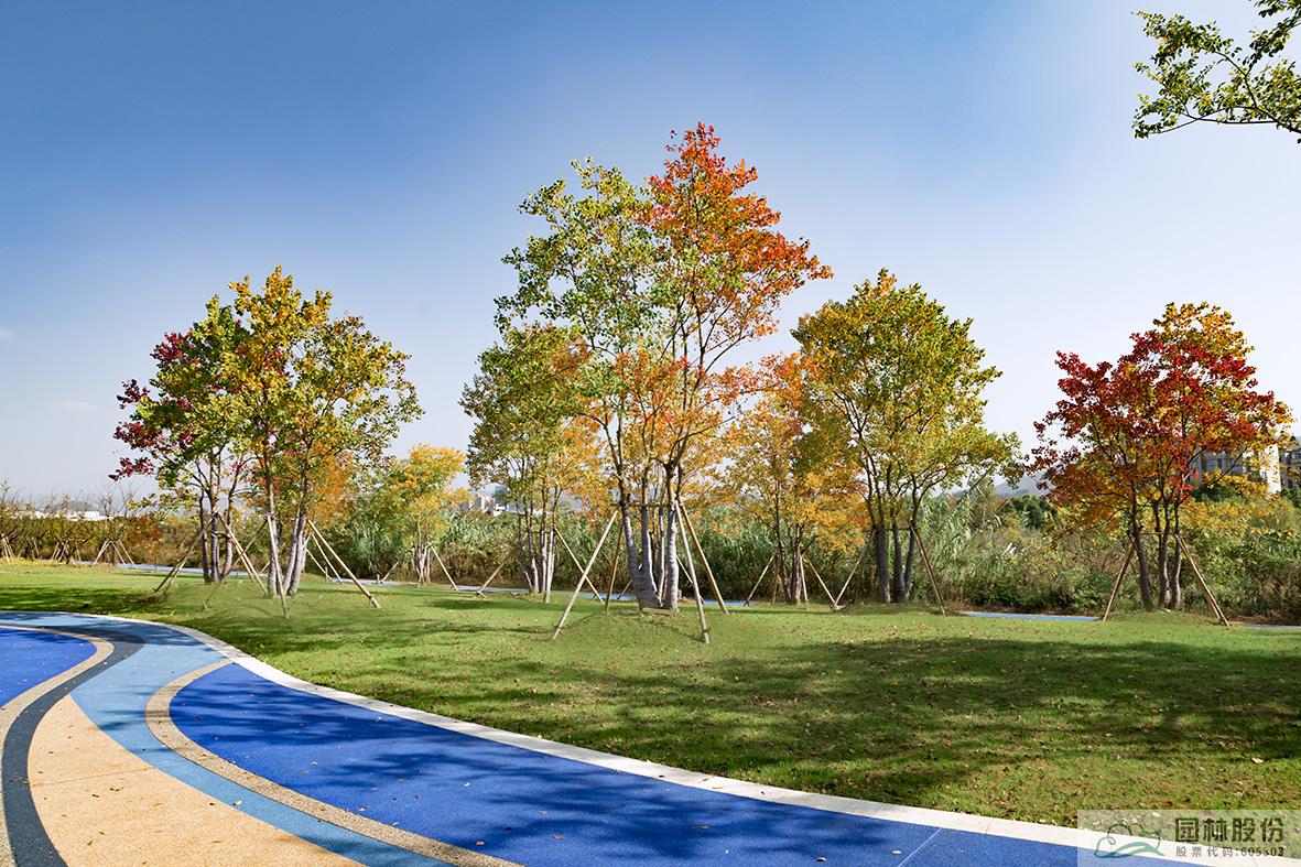 彩运网(中国游)官方网站