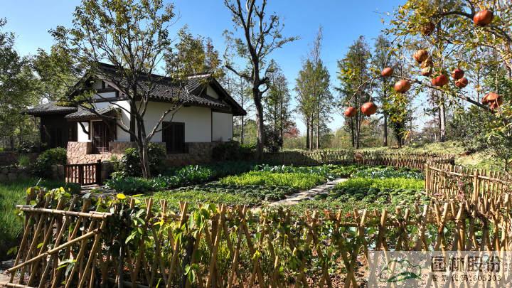 彩运网(中国游)官方网站