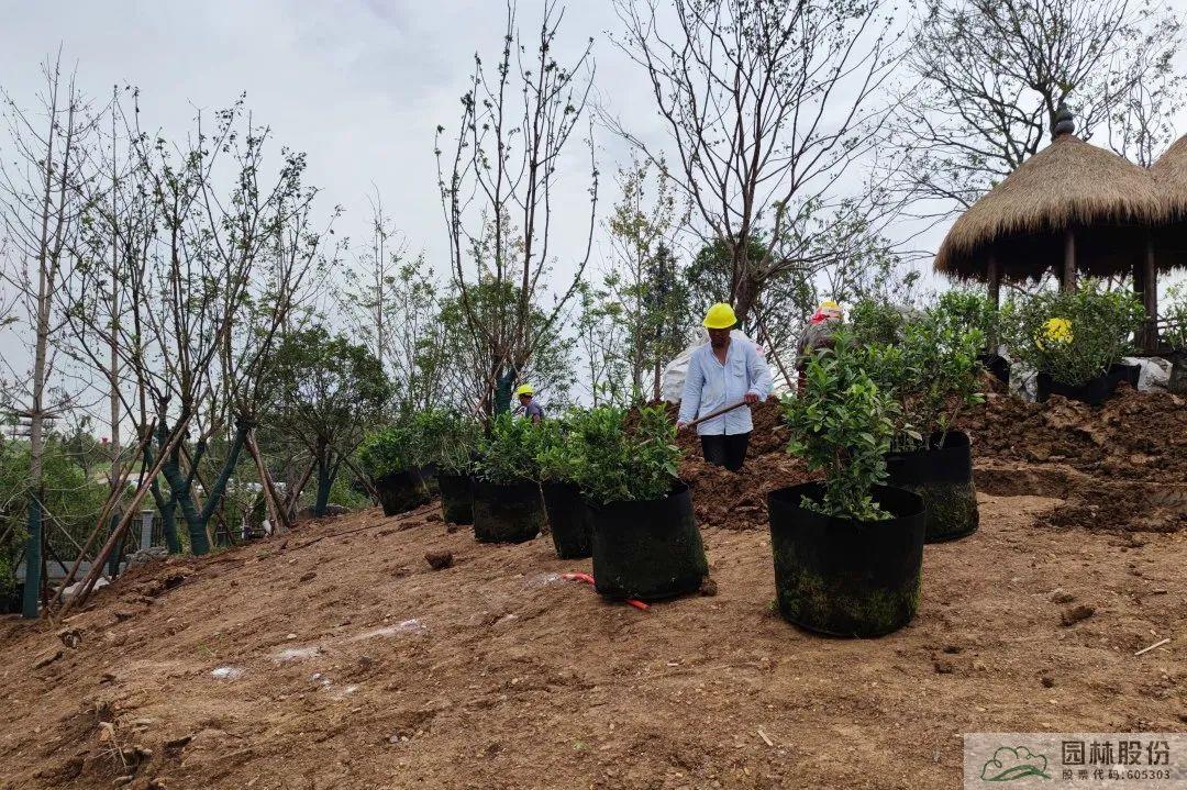 彩运网(中国游)官方网站