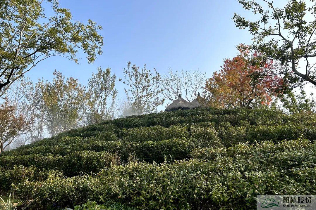 彩运网(中国游)官方网站