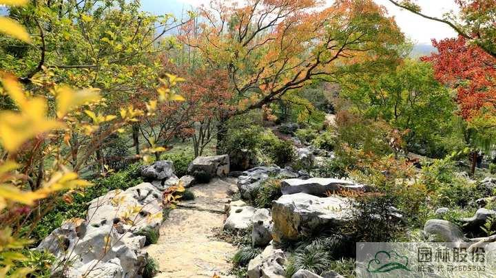 彩运网(中国游)官方网站