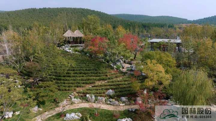 彩运网(中国游)官方网站