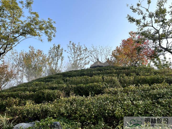 彩运网(中国游)官方网站