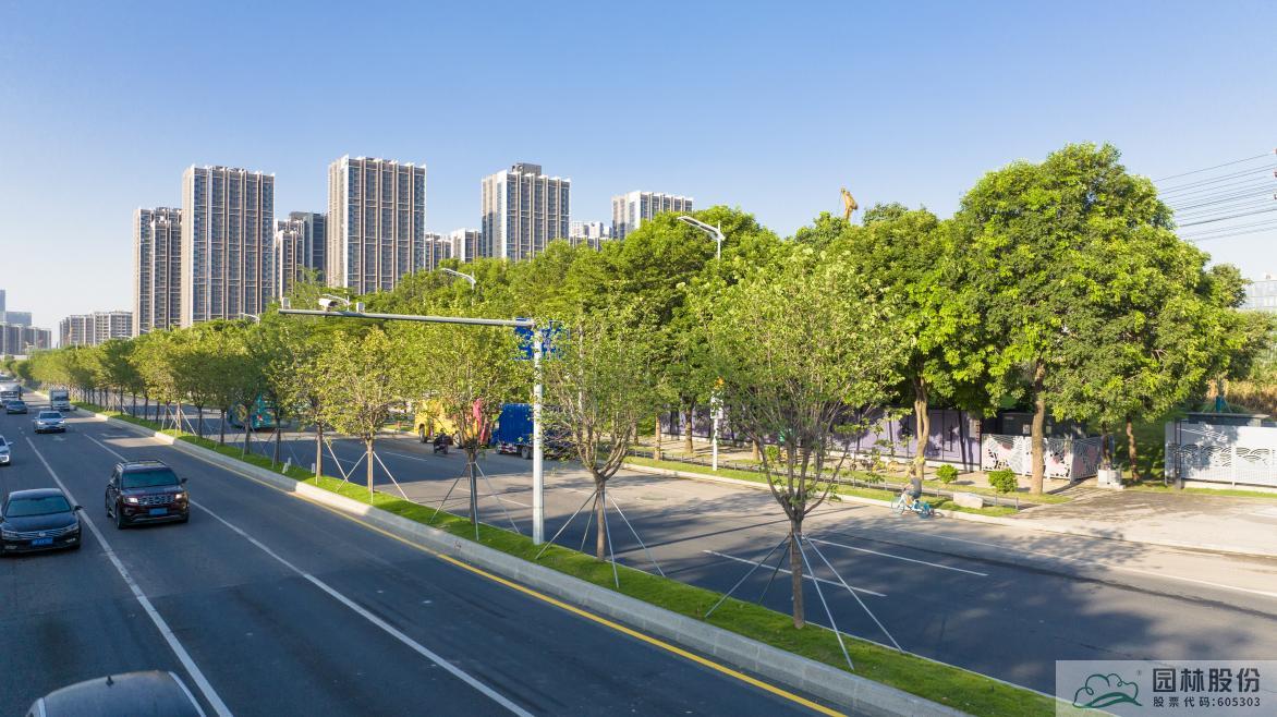 彩运网(中国游)官方网站