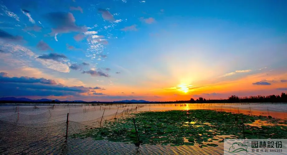 彩运网(中国游)官方网站