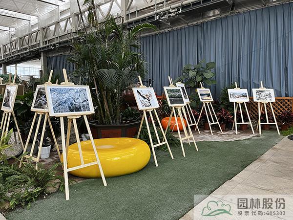 彩运网(中国游)官方网站