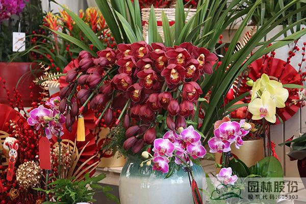 彩运网(中国游)官方网站