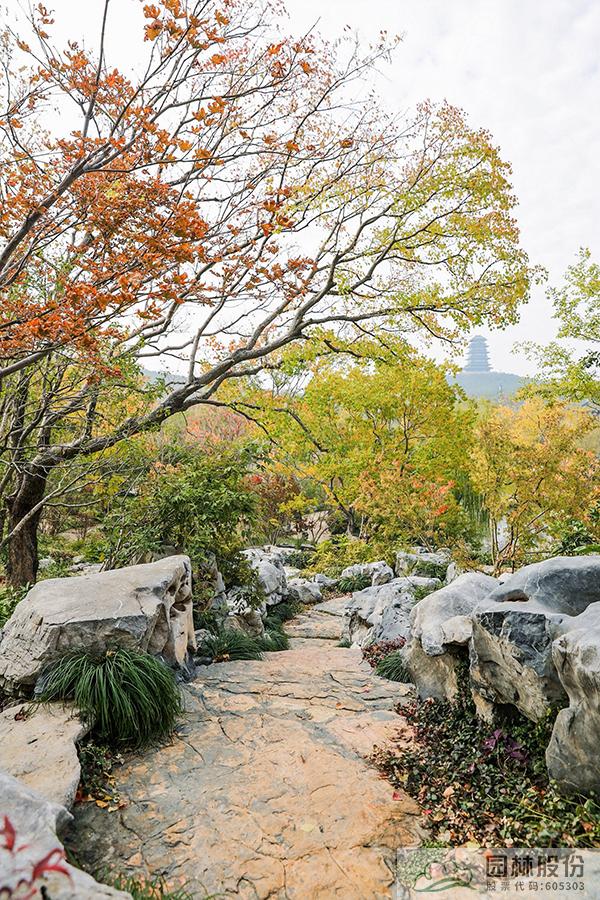 彩运网(中国游)官方网站