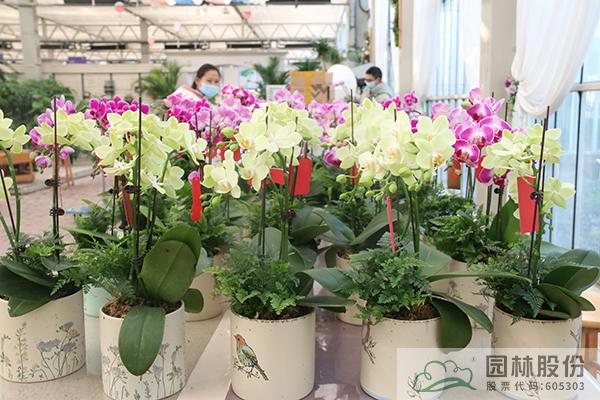 彩运网(中国游)官方网站