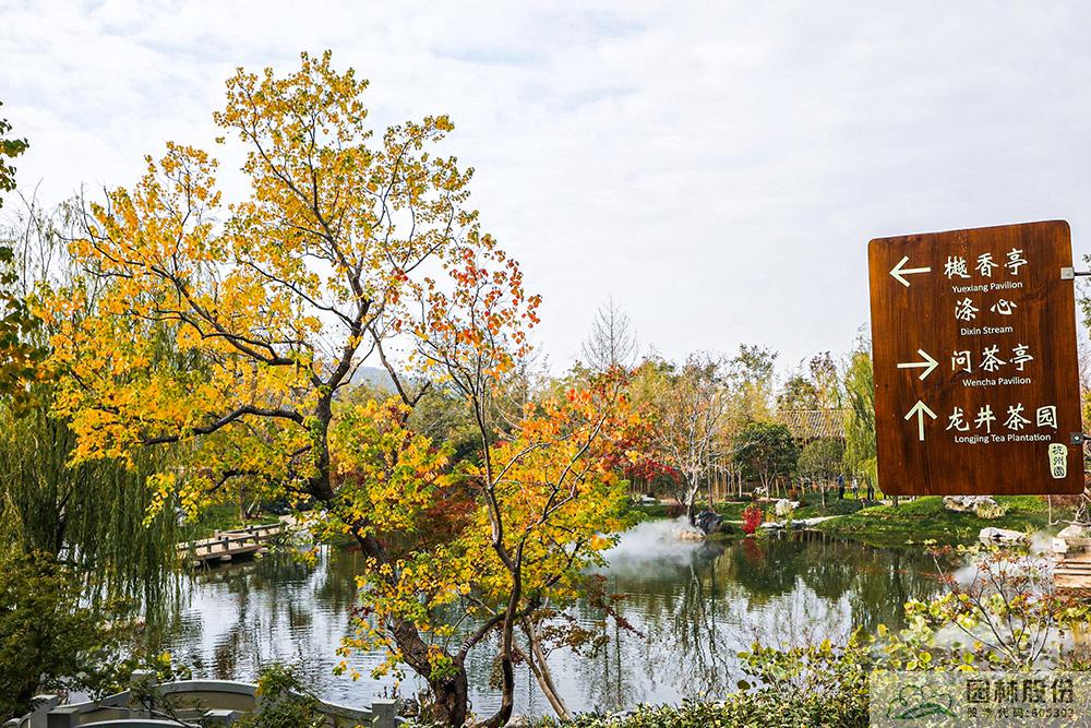 彩运网(中国游)官方网站