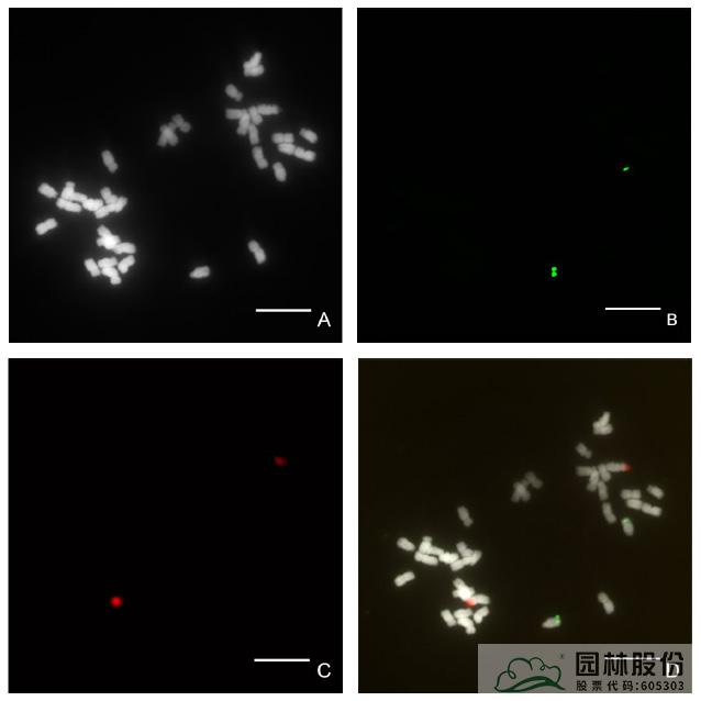彩运网(中国游)官方网站
