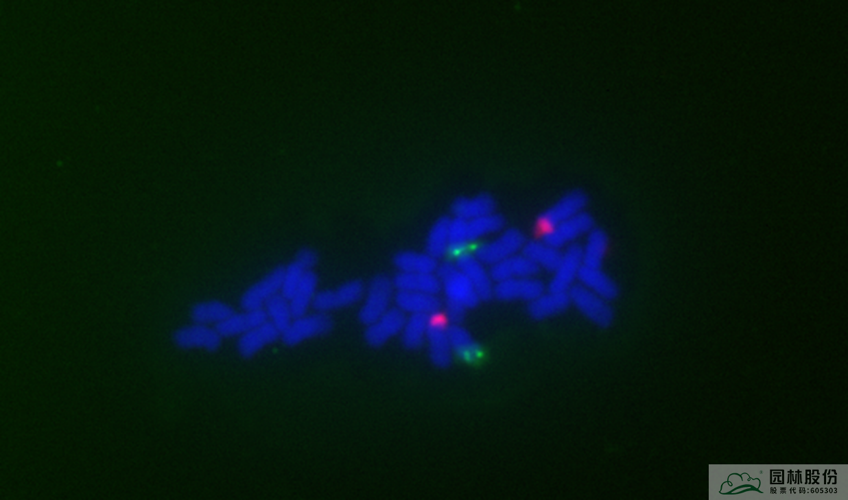 彩运网(中国游)官方网站
