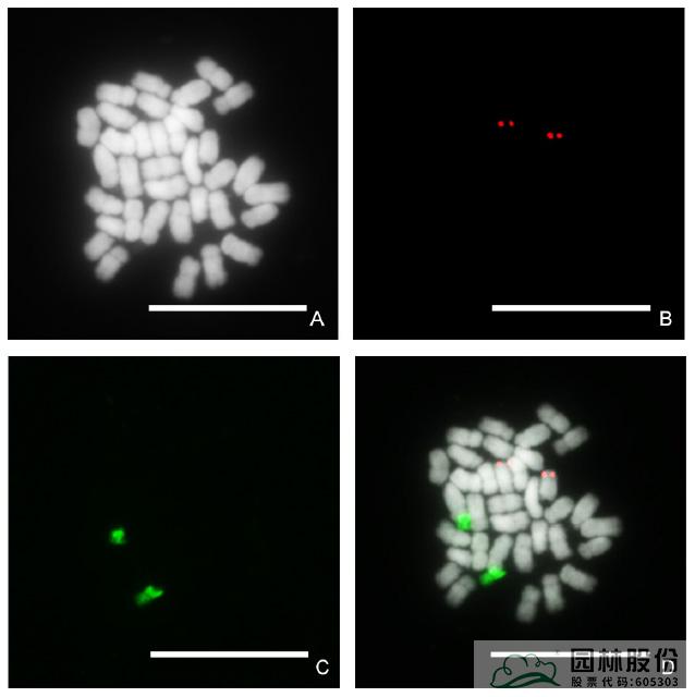 彩运网(中国游)官方网站