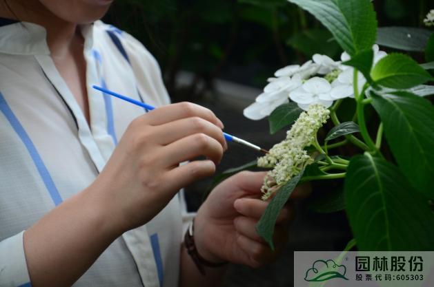 彩运网(中国游)官方网站